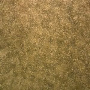 Meet your Posher, Thanh